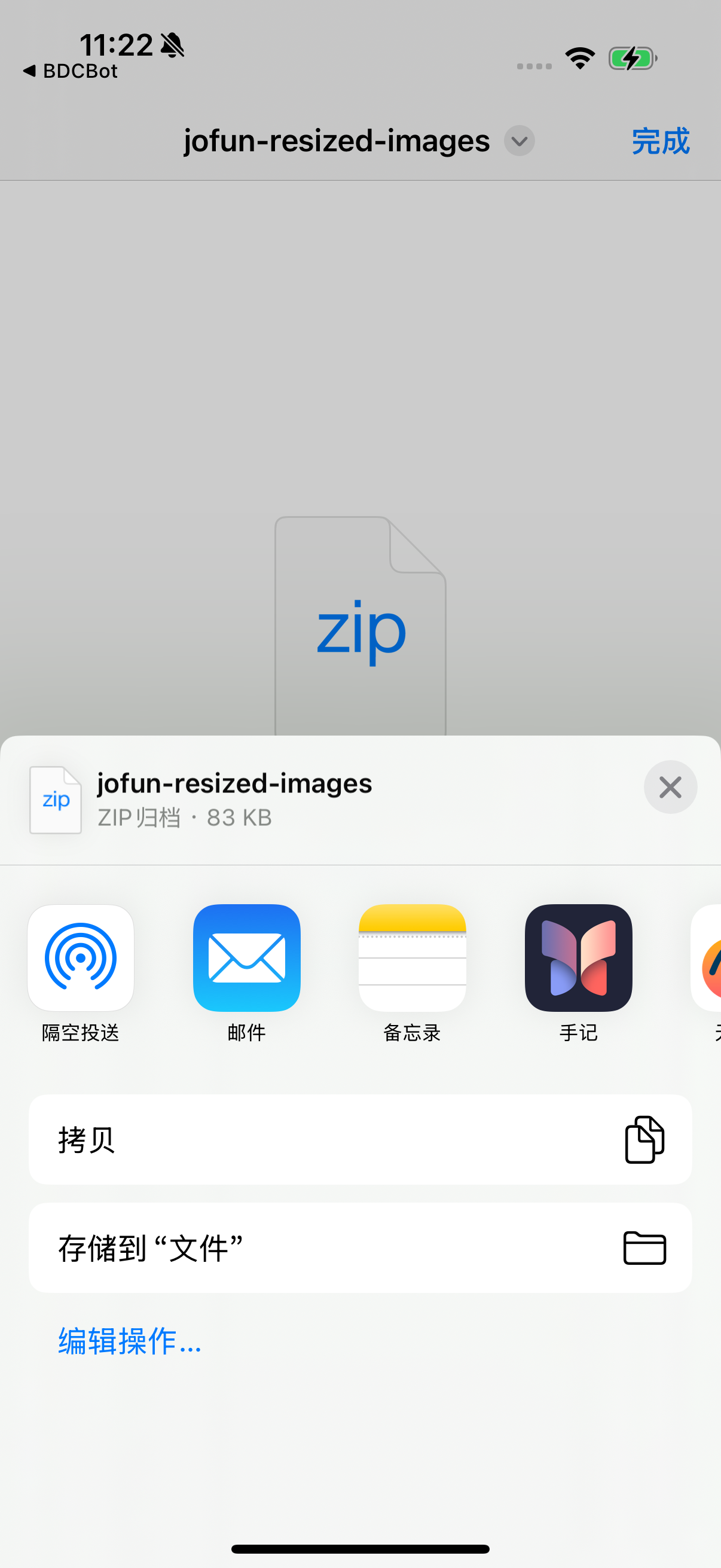 iPhone ZIP preview Share sheet showing Save to Files in the Chinese interface